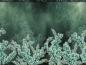 Preview: Velvet Magnolia (mint) - Bordüre - Jersey